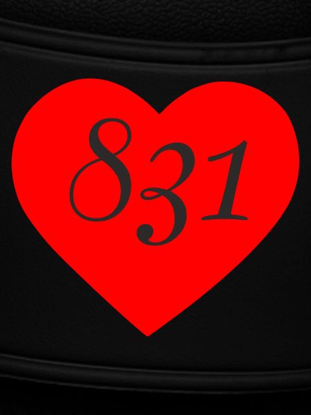 831 Heart 2