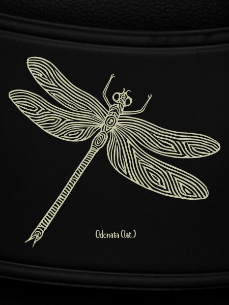 Dragonfly Odonata