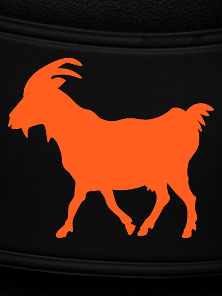 Ziege orange GOAT