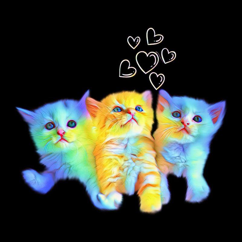 Bébés chats colorés