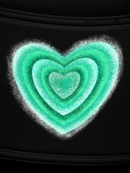 Heart