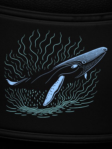 Big whale