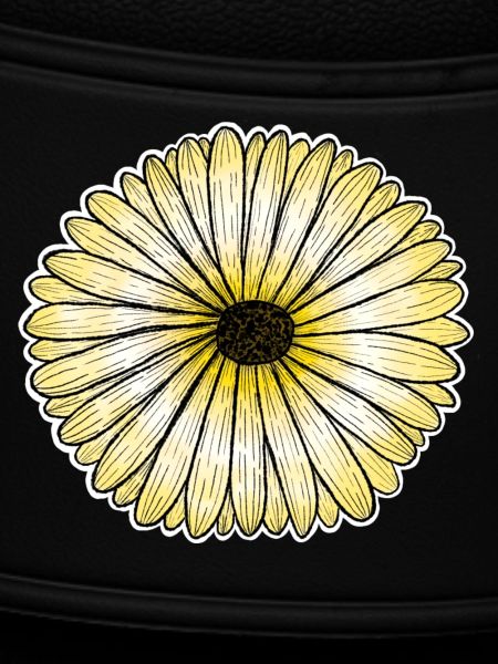 Yellow daisy