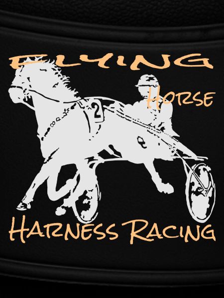 Trotter trotting race