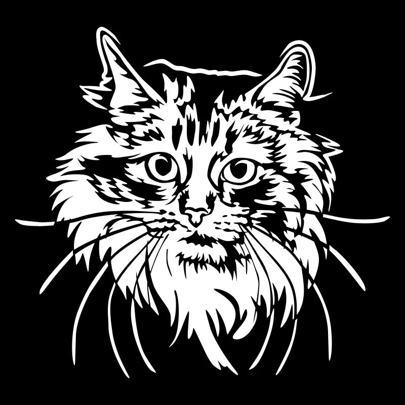 Norwegische Waldkatze "Black Edition"