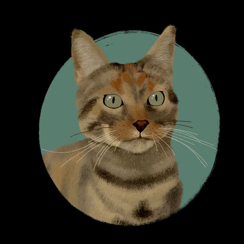 Chat tigré brun