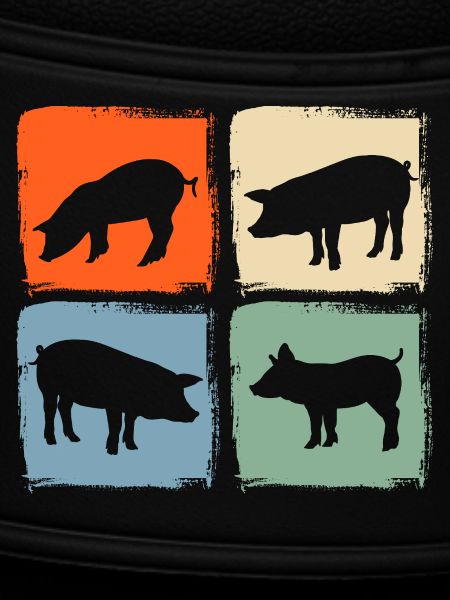 Pig
