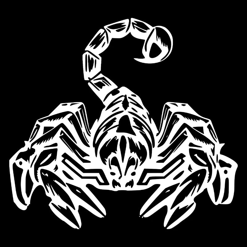 Scorpio Zodiac T-shirt Gift