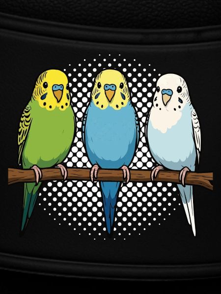 Budgerigars Budgie Owners Budgies
