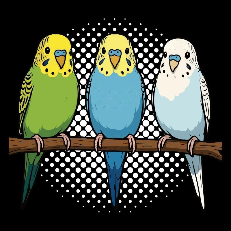 Budgerigars Budgie Owners Budgies