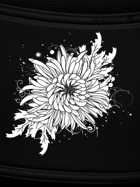 white chrysanthemum