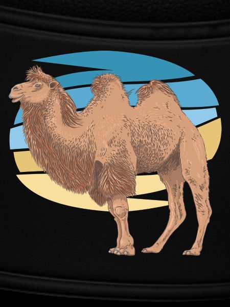 Camel