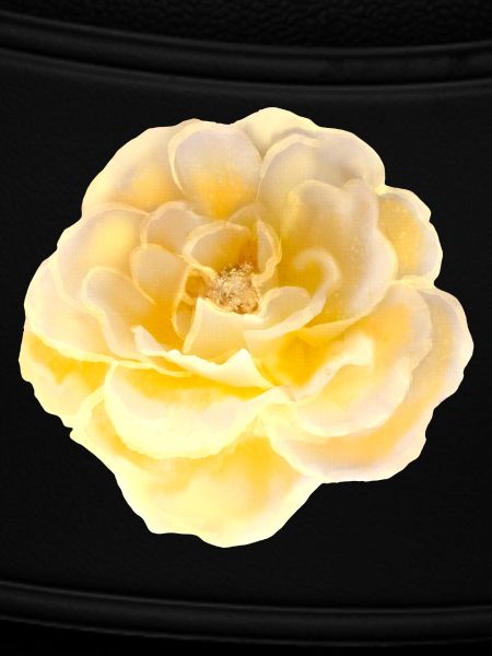 Rose Flower