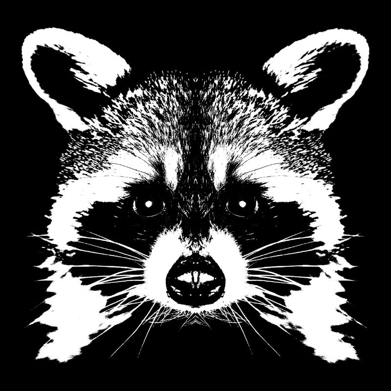 Waschbär / Raton laveur
