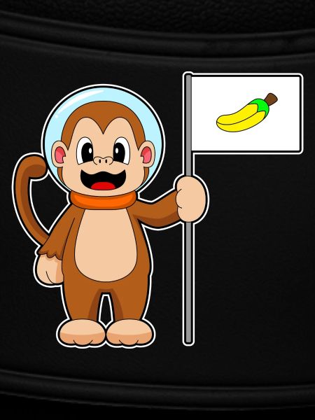 Monkey Astronaut Space
