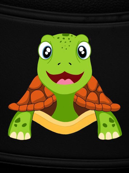 Turtle Turtles
