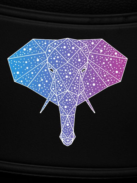 Galactic Elephant