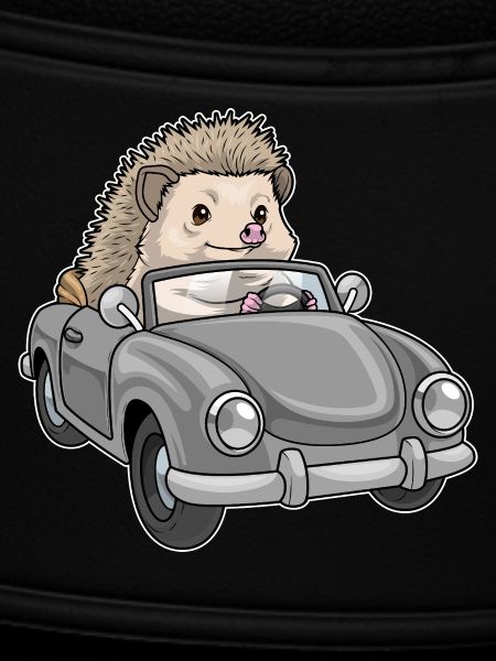 Igel Auto