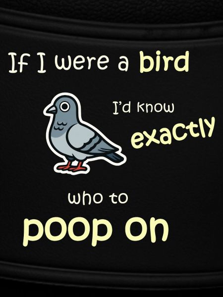 Bird mode - Activated