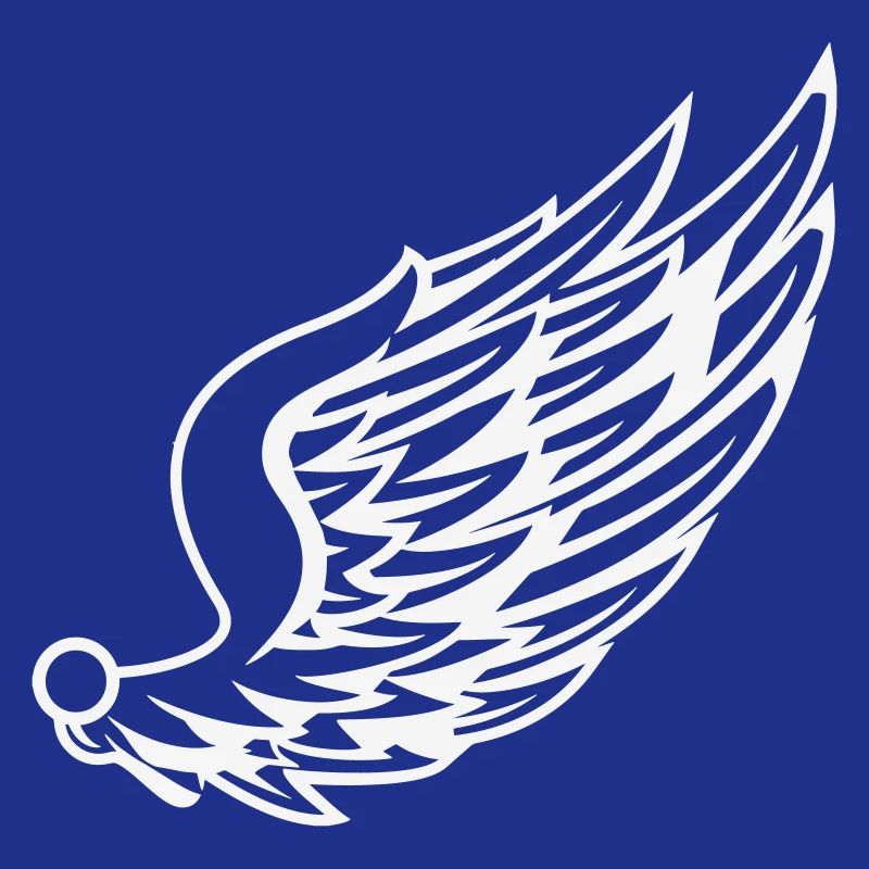 Wings with dynamic feather drawing