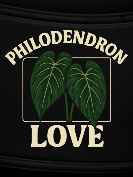 Philodendron Love
