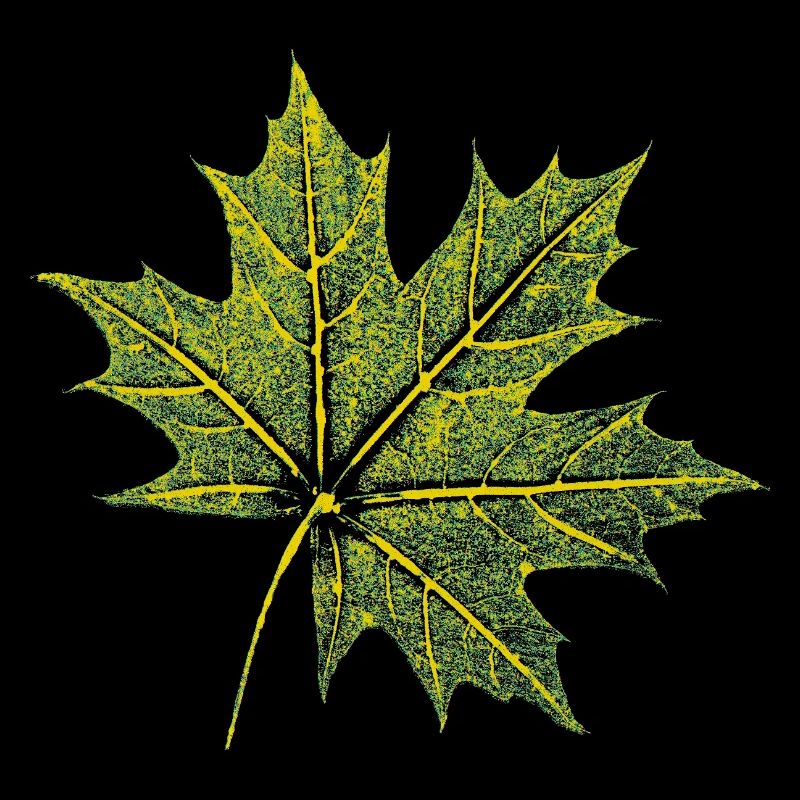 Feuille d’érable - Forêt et nature BOTANIK