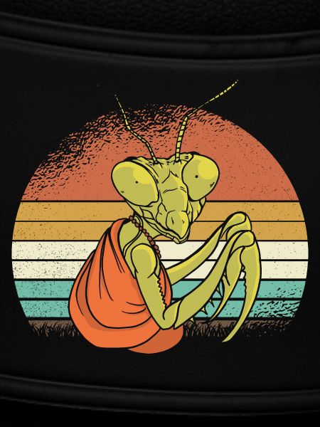 Mantis in retro sunset