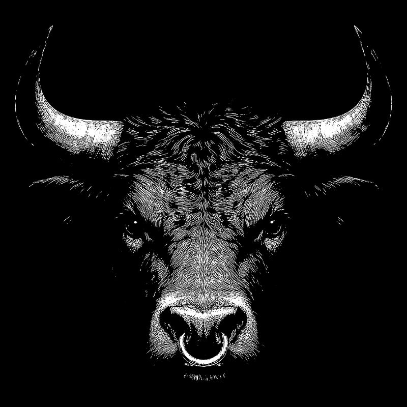 Taureau