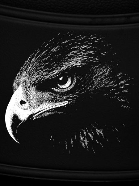 Golden eagle