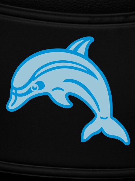 Dolphin 01.1