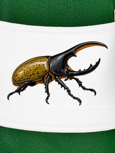 Herkuleskäfer Dynastes hercules