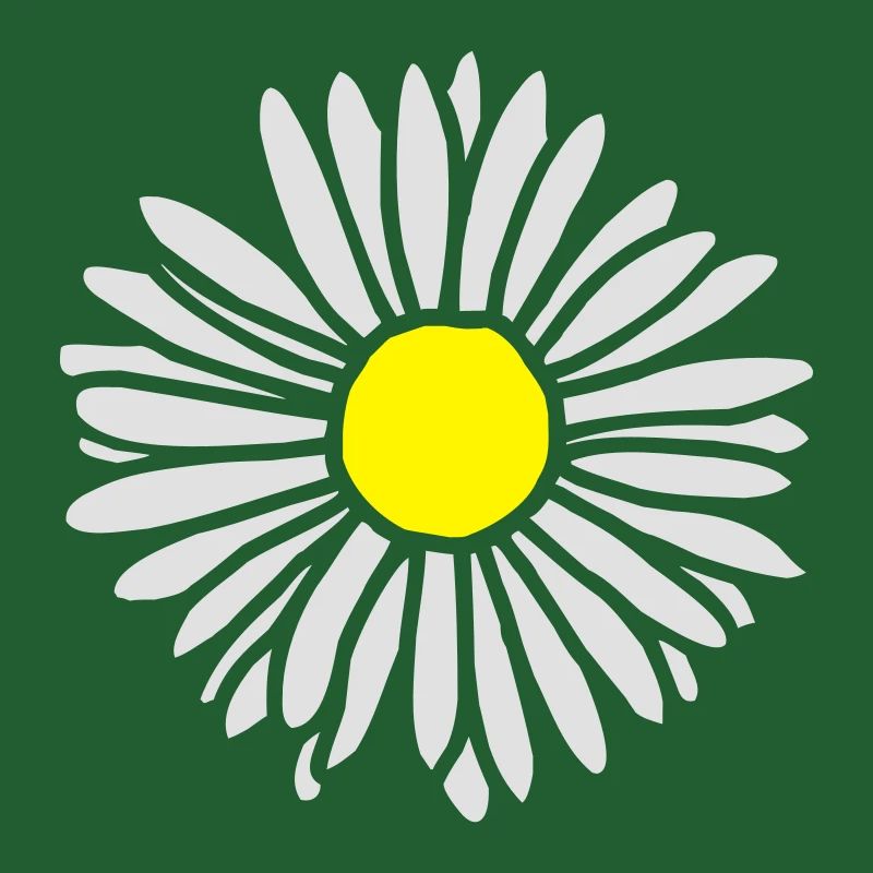 Gänseblümchen zweifarbig