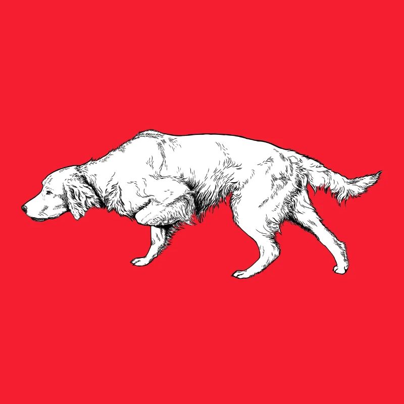 Setter ci-dessus