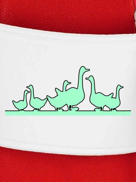 Ducks Geese