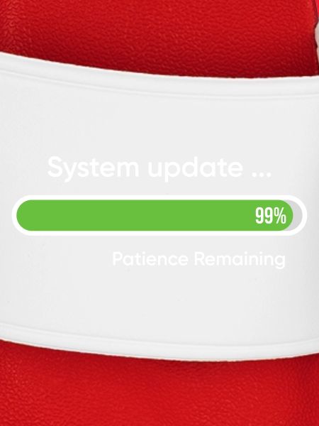 System-Update 99% verbleibende Geduld
