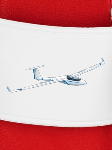 Segelflugzeug