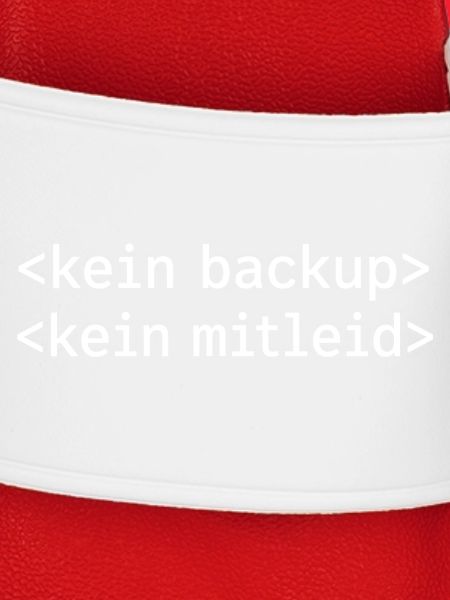 Kein Backup? Kein Mitleid!