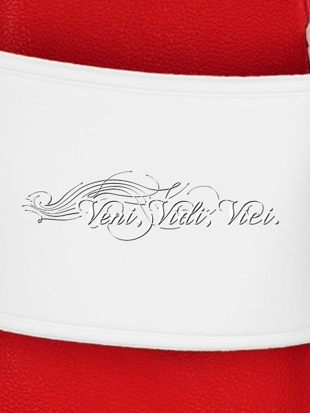Veni vidi vici verziert - shaded