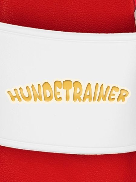 Beruf Hundetrainer