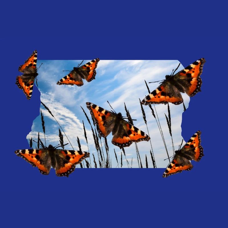 BUTTERFLY