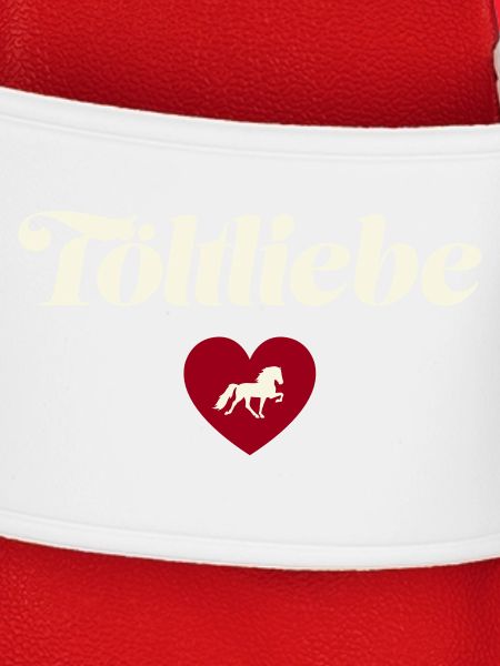 Islandpferd Tölt liebe