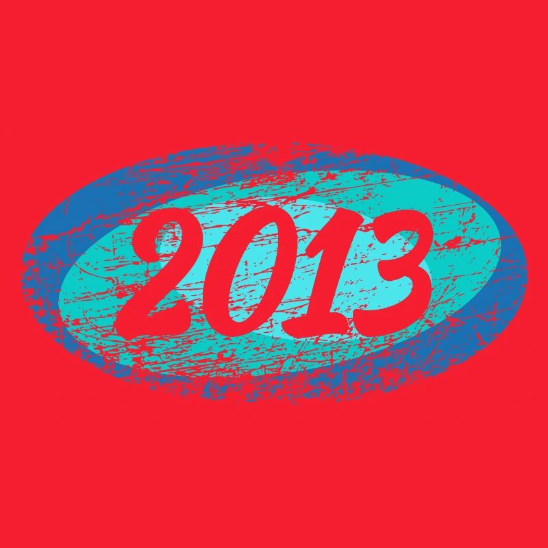 2013 2013