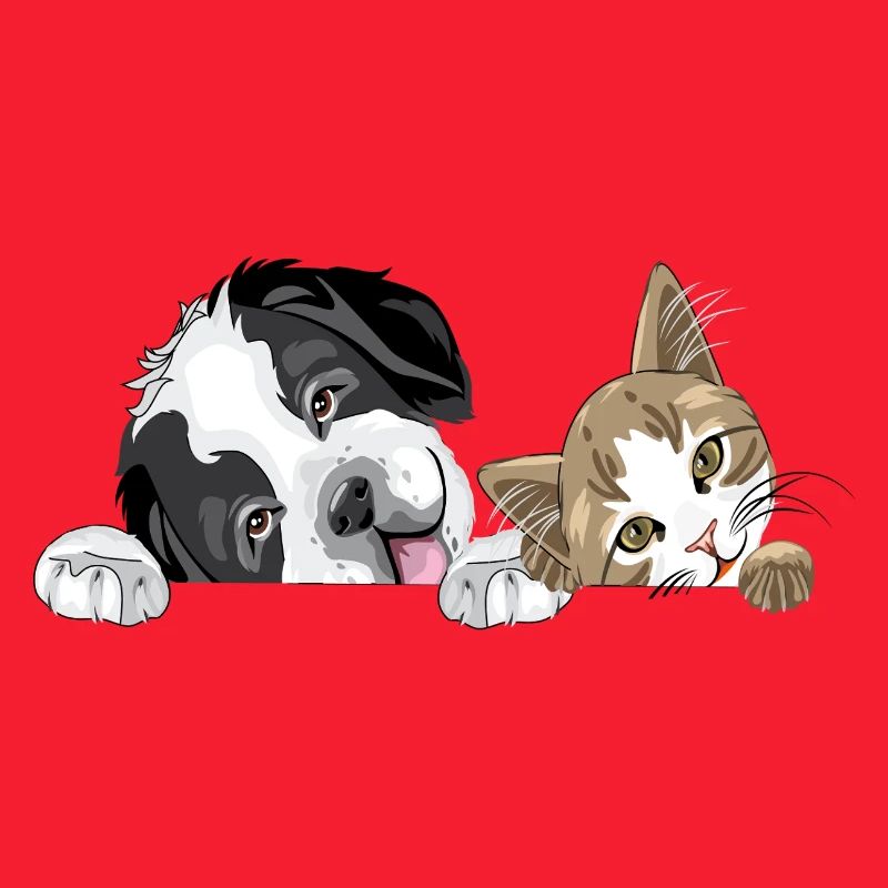 Chat et chien