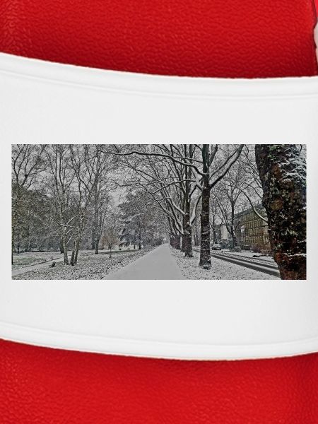Winter avenue in snowfall