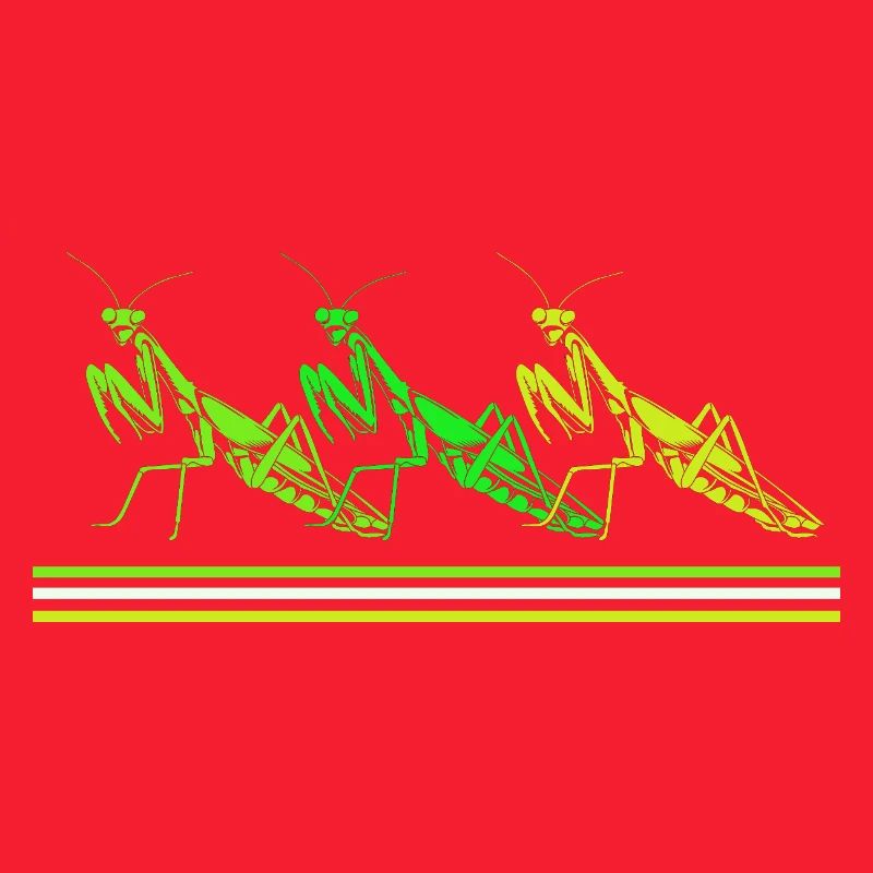 Mantis Gottesanbeter Gottesanbeterin