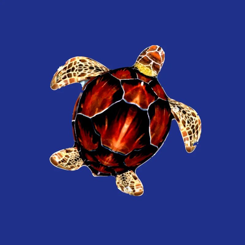 Pattern sea turtle illustration