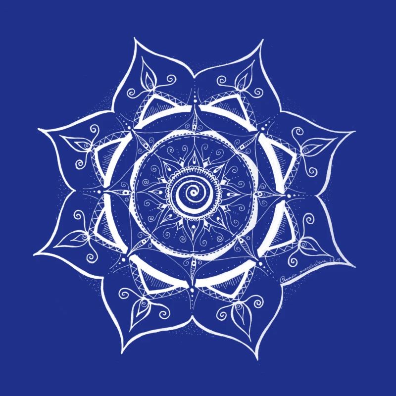 Mandala-Spinnennetz Design