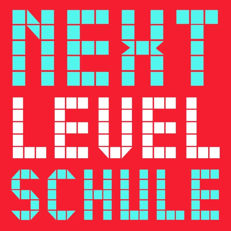 Next Level Schule