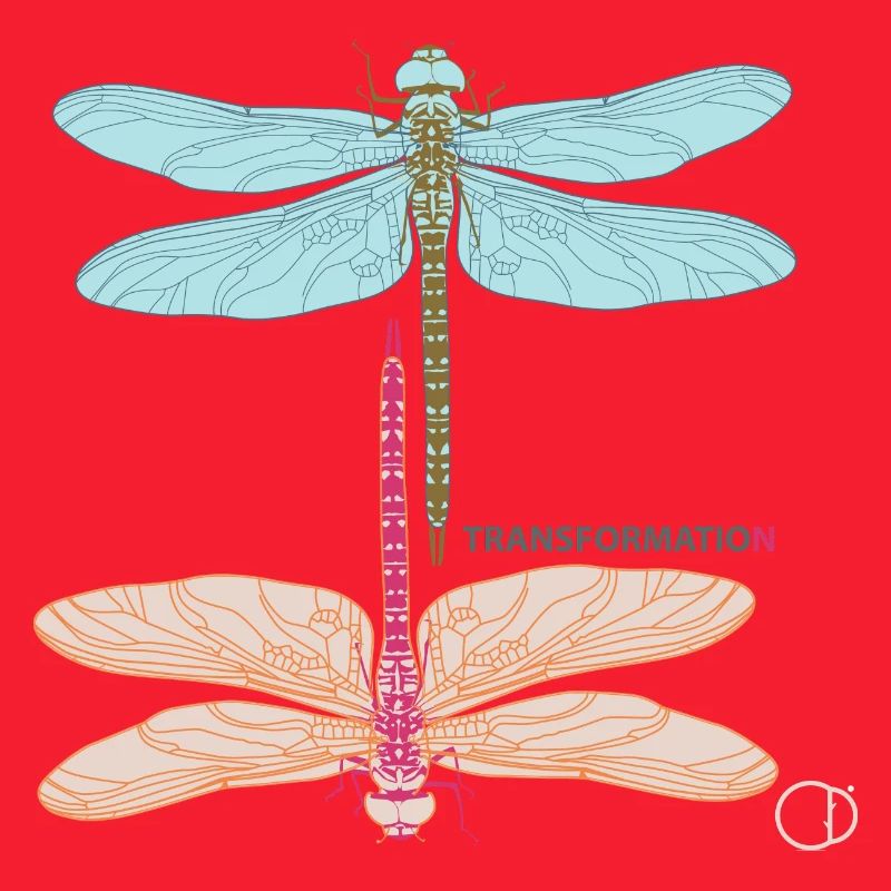 Dragonflies and Transformation by CD