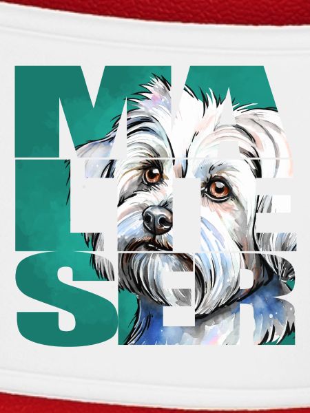 Malteser Portrait